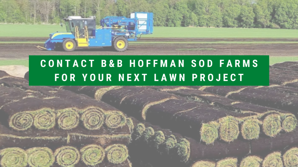 Contact B&B Hoffman Sod Farms For Your Next Lawn Project BB Hoffmansod
