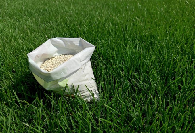 Fertilizer for grass, lawn, meadow in a bag of white granules on green grass.