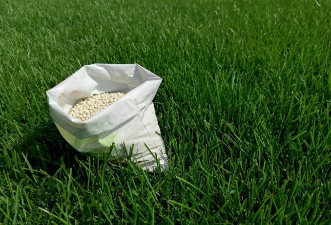Fertilizer for grass, lawn, meadow in a bag of white granules on green grass.